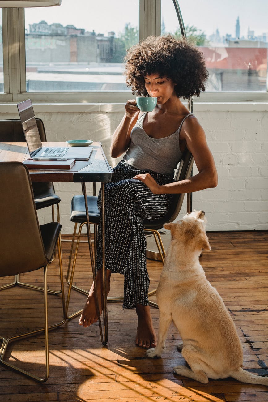 black freelancer drinking coffee near laptop and dog indoors